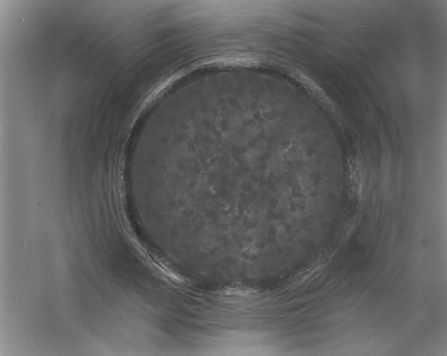 X0000060790487200511101422