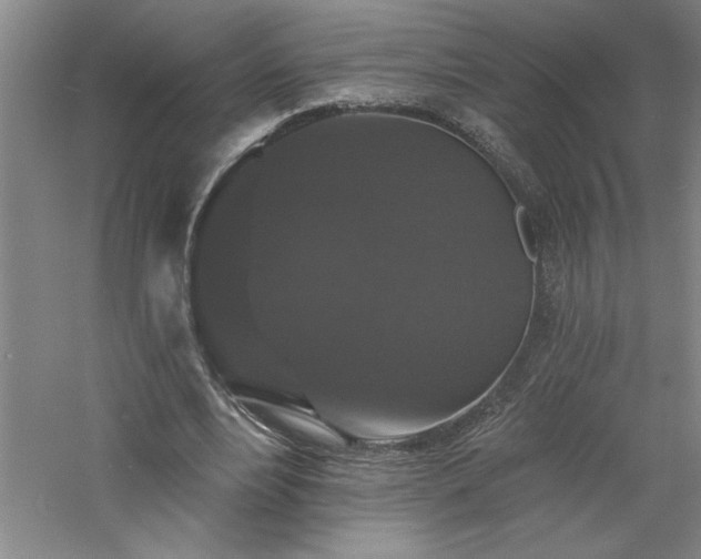 X0000060790488200511101422