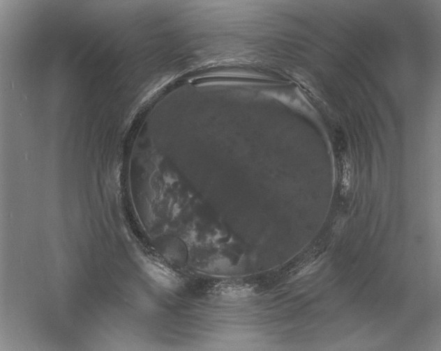 X0000060790491200511101422