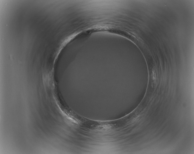 X0000060790492200511101422