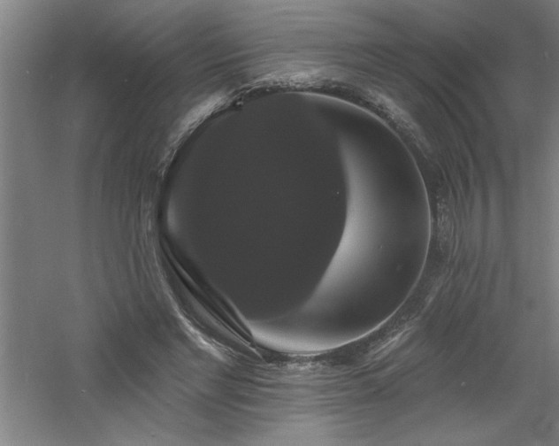 X0000060790493200511101422