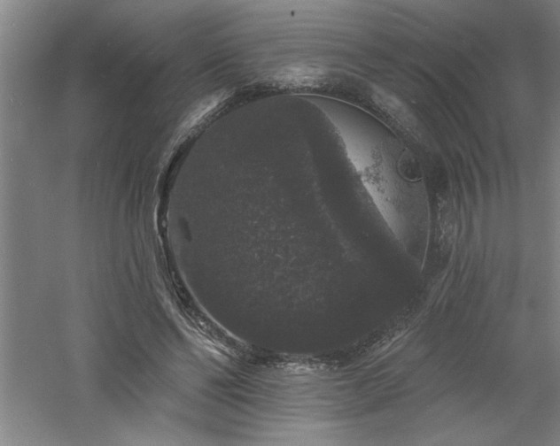 X0000060790494200511101422