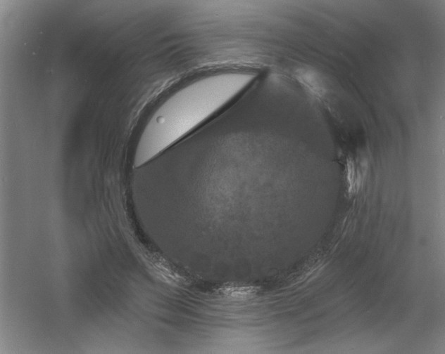 X0000060790495200511101422