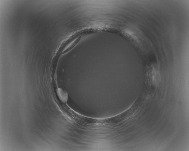 X0000060790496200511101422