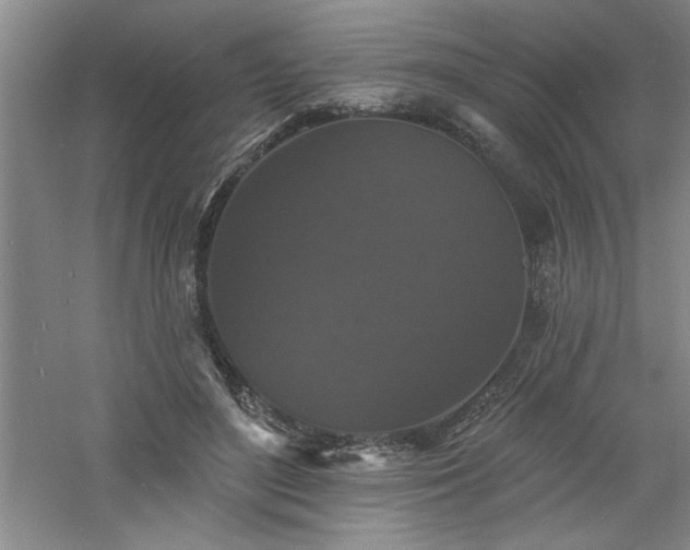 X0000060790500200511101422