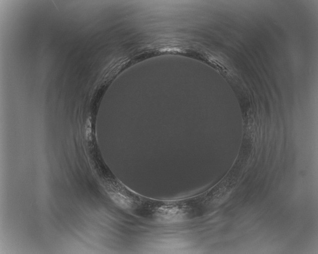 X0000060790502200511101422