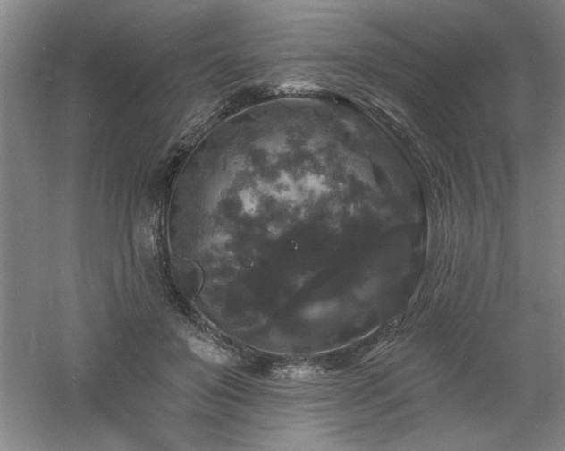 X0000060790503200511101422