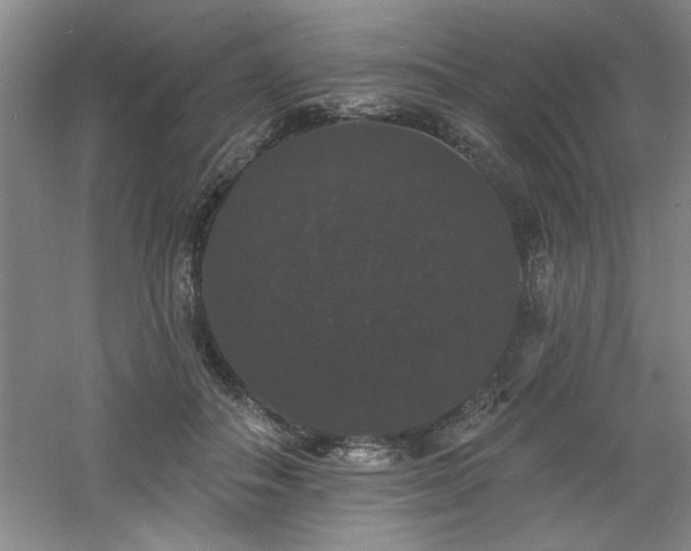 X0000060790506200511101422