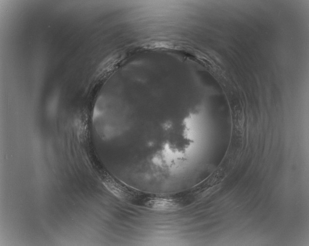 X0000060790507200511101422