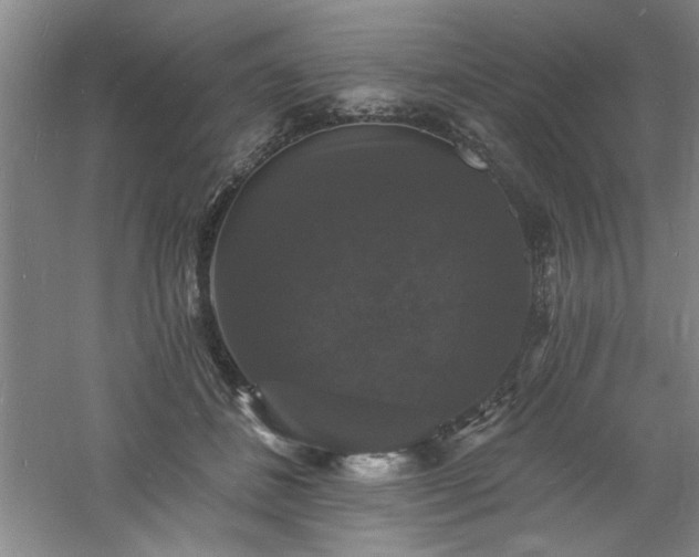 X0000060790508200511101422