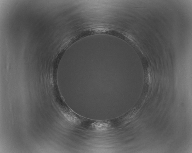 X0000060790512200511101422