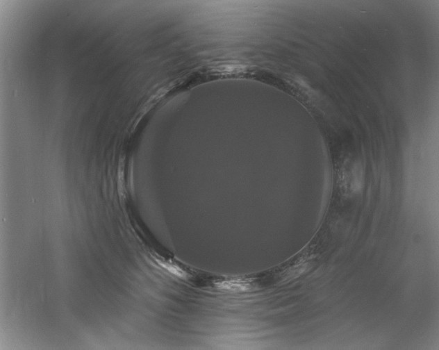 X0000060790516200511101422