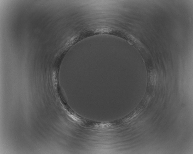 X0000060790517200511101422