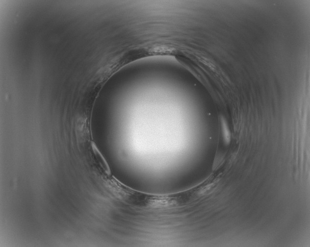 X0000060790521200511101422