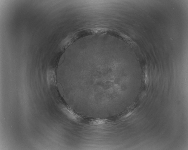 X0000060790523200511101422