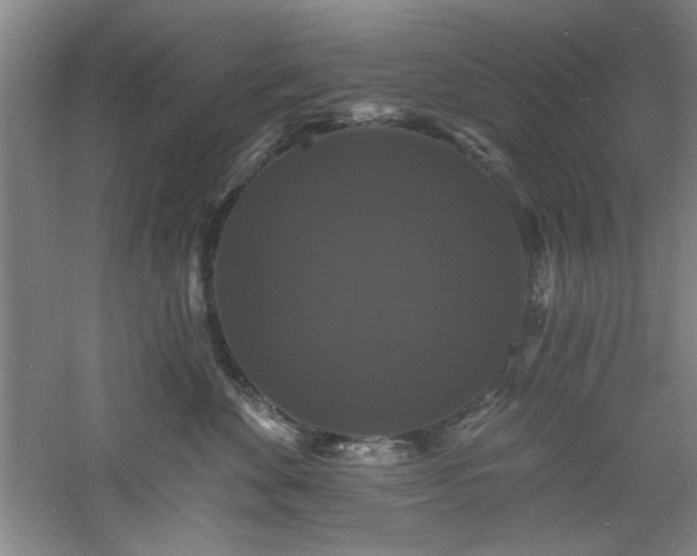 X0000060790524200511101422