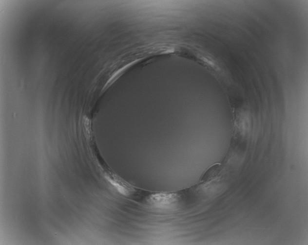 X0000060790526200511101422