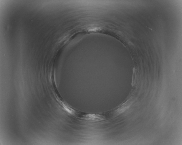 X0000060790528200511101422