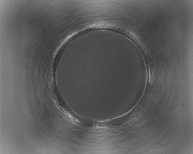 X0000060790531200511101421