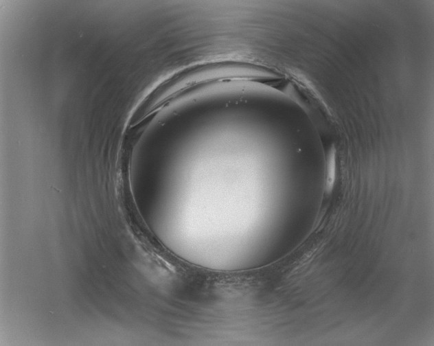 X0000060790532200511101421