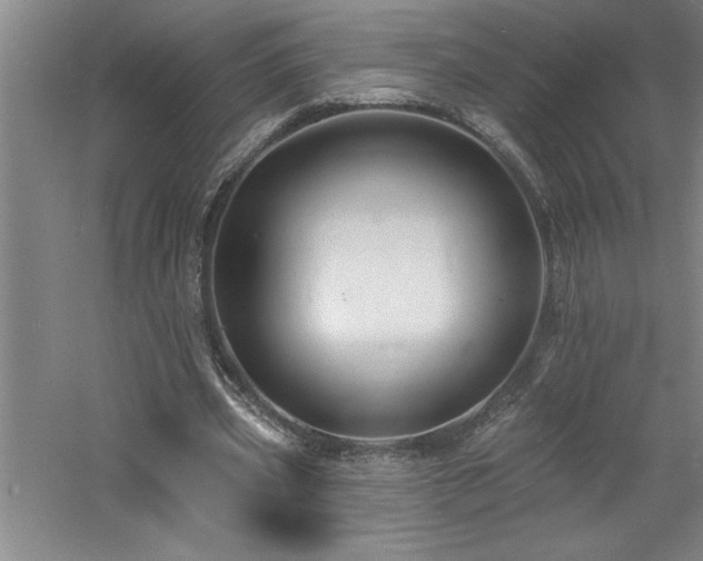 X0000060790533200511101421