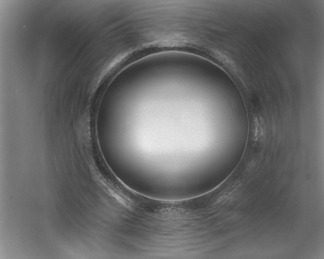 X0000060790535200511101421