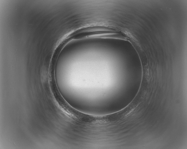 X0000060790536200511101421