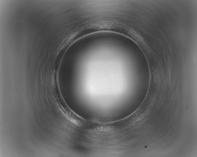 X0000060790537200511101421