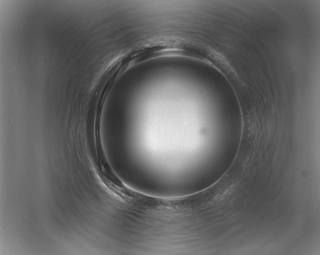 X0000060790538200511101421