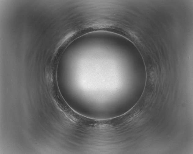 X0000060790539200511101421