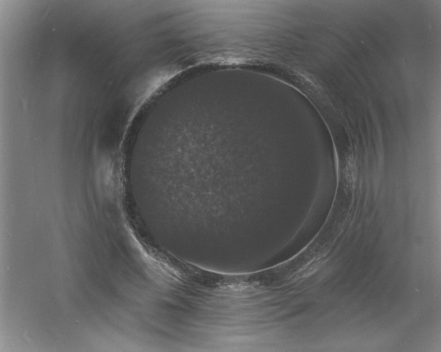 X0000060790540200511101421