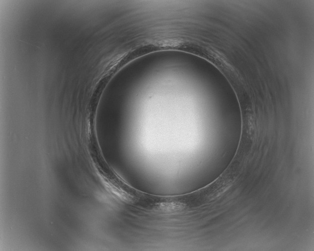 X0000060790541200511101421