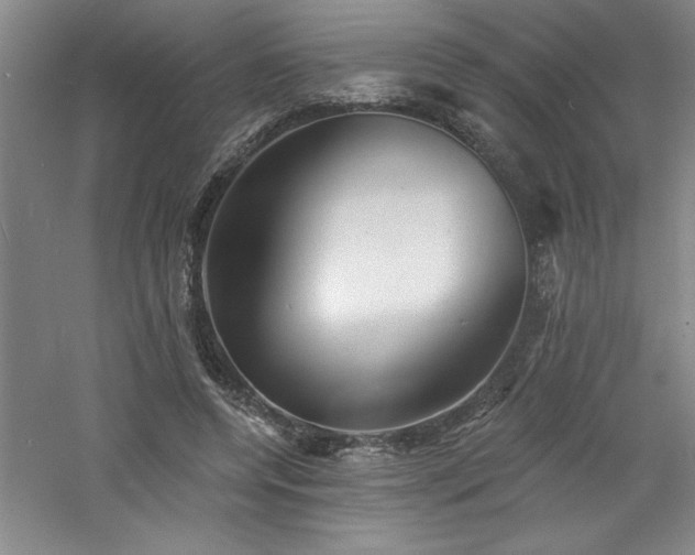 X0000060790544200511101421