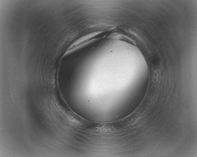 X0000060790545200511101421