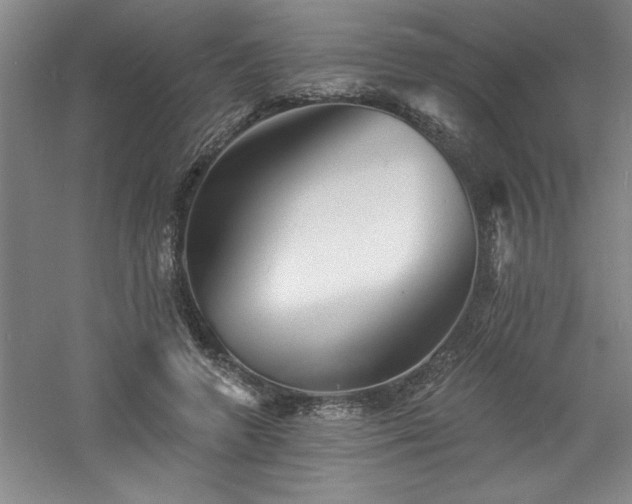 X0000060790546200511101421