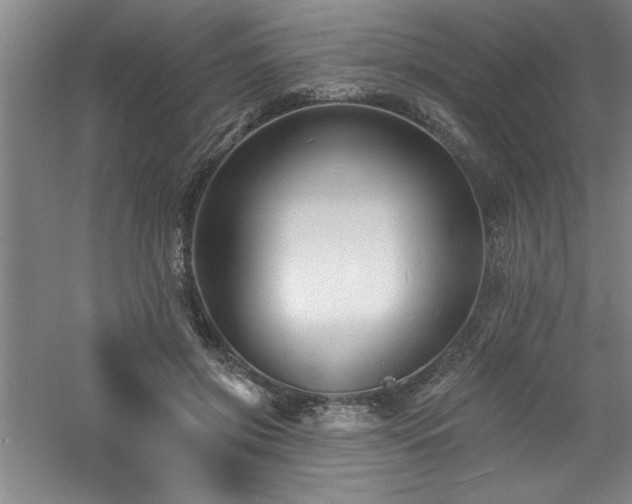 X0000060790549200511101421