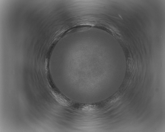 X0000060790550200511101421