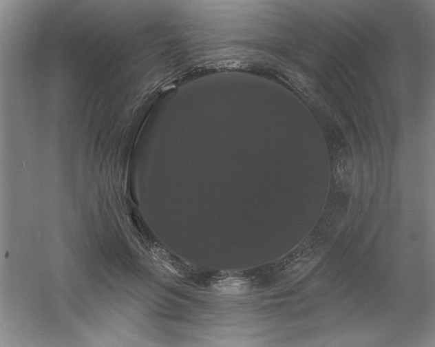 X0000060790551200511101421