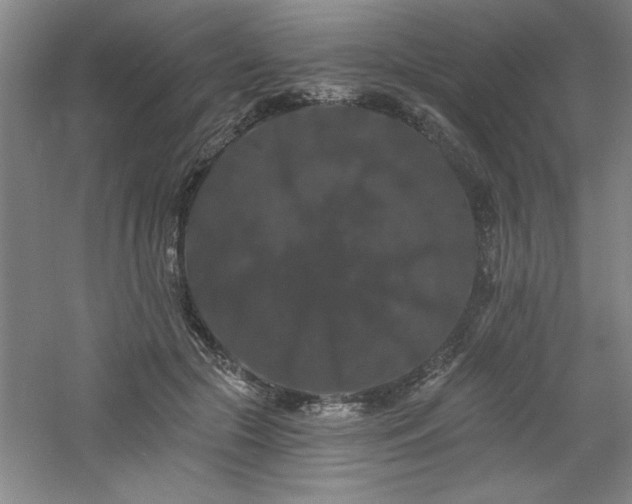 X0000060790553200511101421