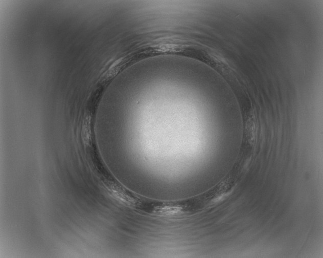 X0000060790554200511101421