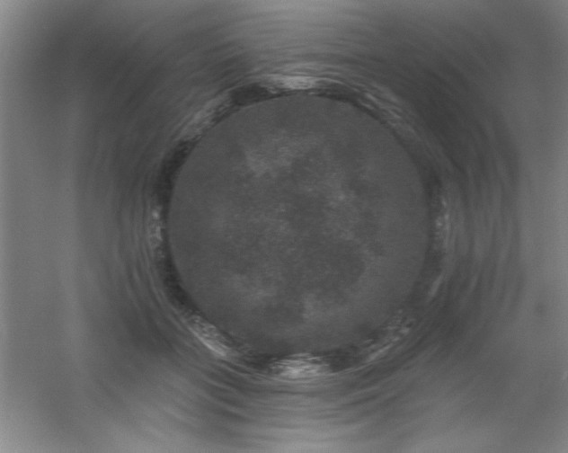 X0000060790555200511101421