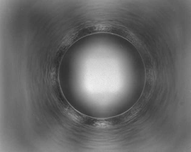 X0000060790557200511101421