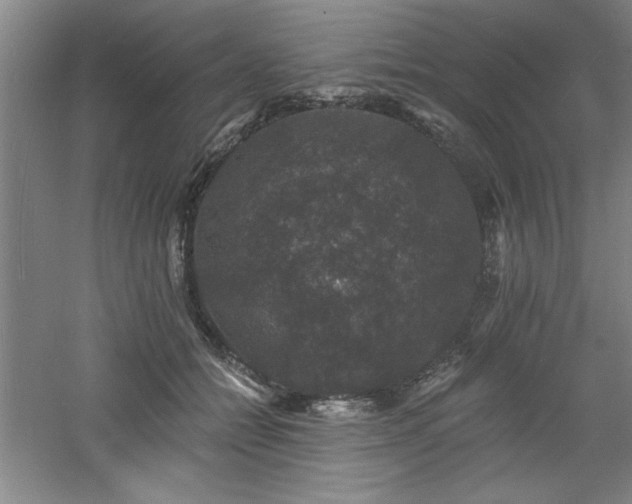 X0000060790558200511101421