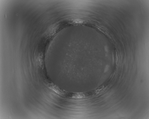 X0000060790559200511101421