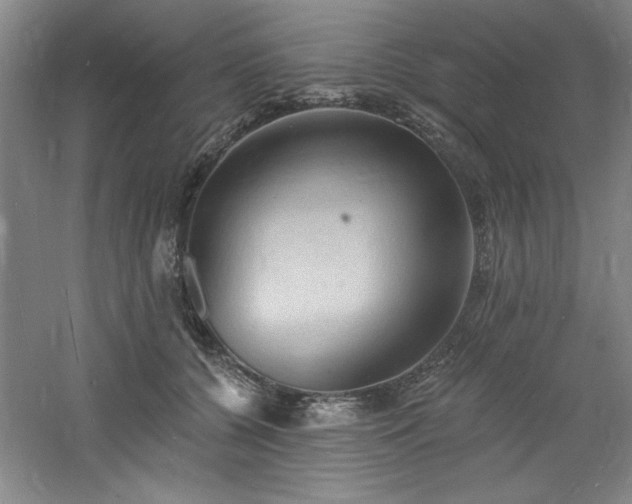 X0000060790560200511101421