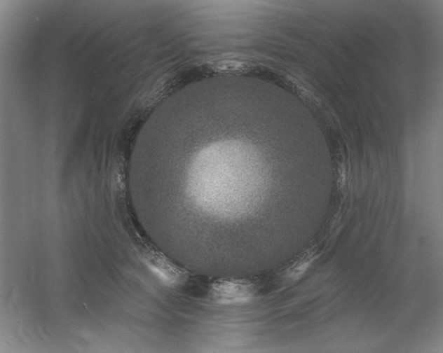 X0000060790561200511101421