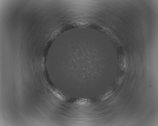 X0000060790563200511101421