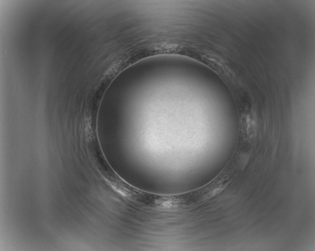 X0000060790564200511101421