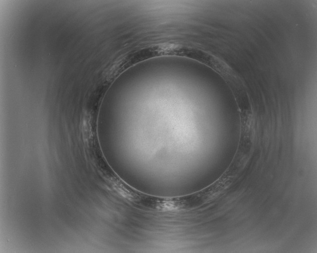 X0000060790565200511101421