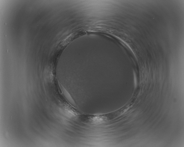 X0000060790566200511101421